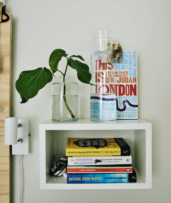 家里擺一盆綠植，
辦公家具家具給生活增添一點小確幸