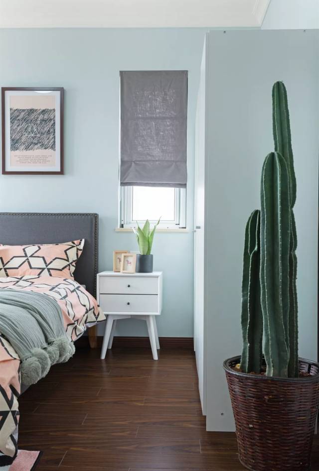 家里擺一盆綠植，
辦公家具家具給生活增添一點小確幸