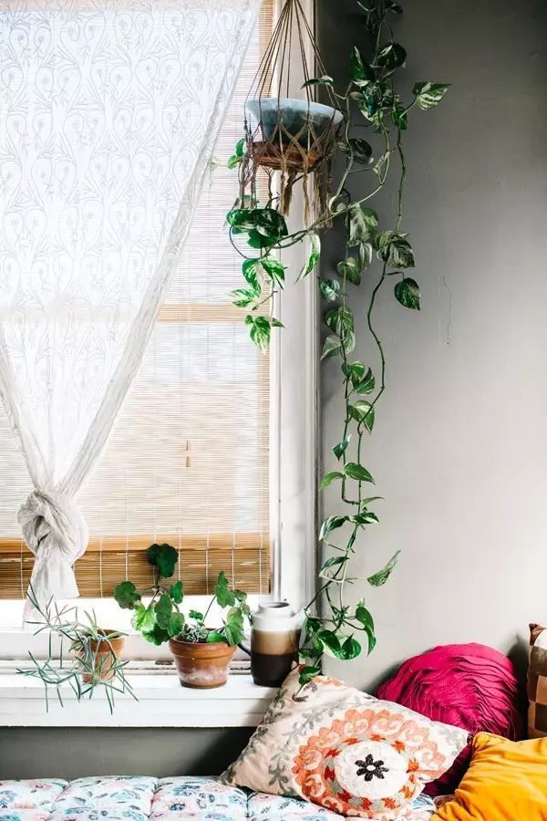 家里擺一盆綠植，
辦公家具家具給生活增添一點小確幸