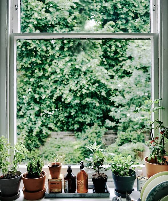 家里擺一盆綠植，
辦公家具家具給生活增添一點小確幸